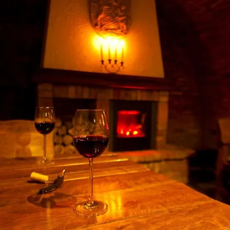 Cicina Penzion, Restaurace, Vinny Sklep Guest house 3*